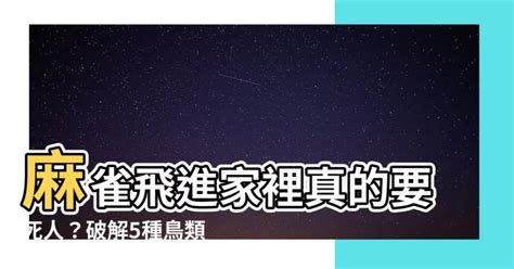 麻雀入屋|【麻雀飛到家裡】麻雀飛進家有啥神奇預示？竟和財運。